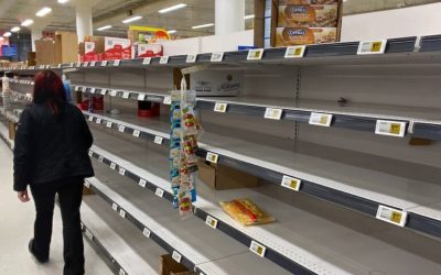 Research Report: Many Products Get Left Behind in the Grocery Ecommerce Search Experience