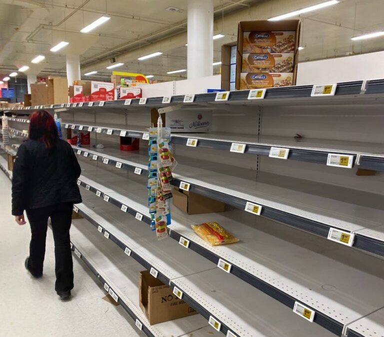 Research Report: Many Products Get Left Behind in the Grocery Ecommerce Search Experience